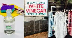 Want to know how to use white vinegar in your home? Click through to find out 15 white vinegar uses.