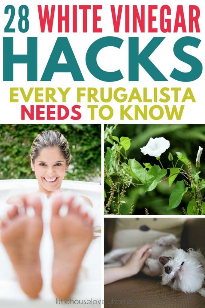 32 Brilliant White Vinegar Uses Around the Home
