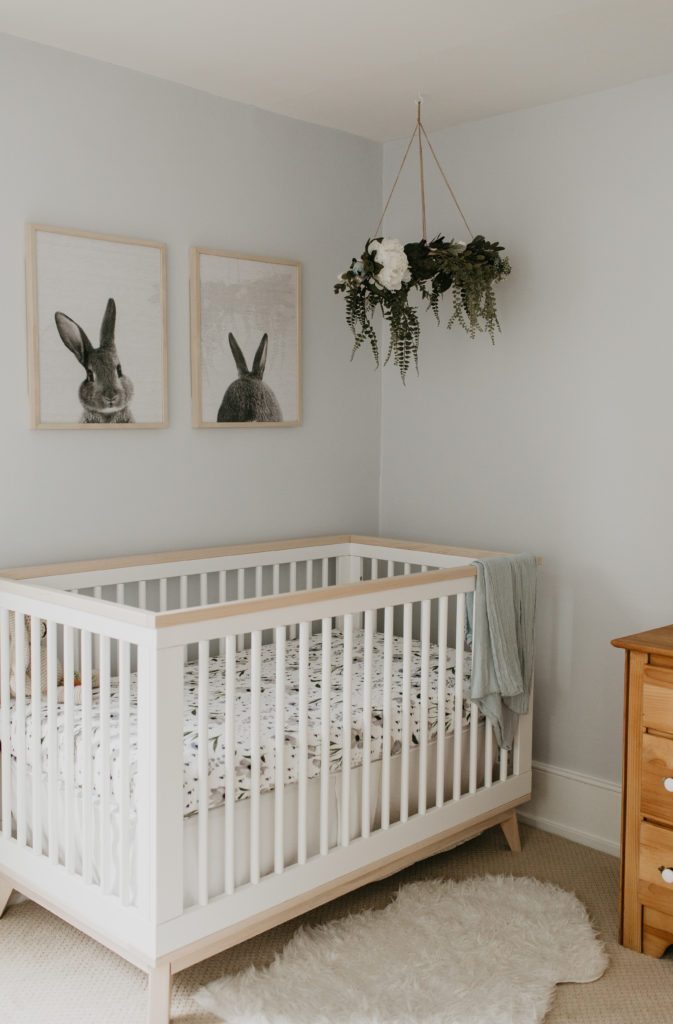 A plant hanging from the ceiling in a nursery 