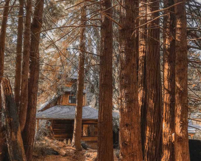 Water Tower California Tiny House