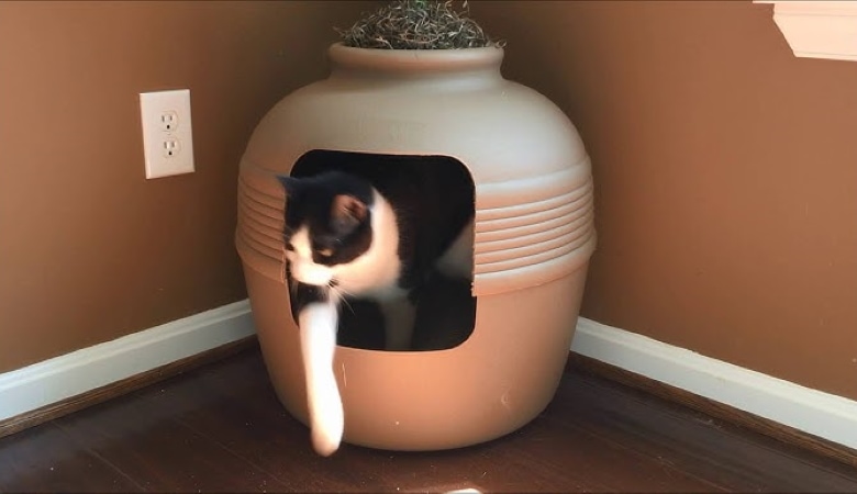 Good Pet Stuff Hidden Litter Litter Box