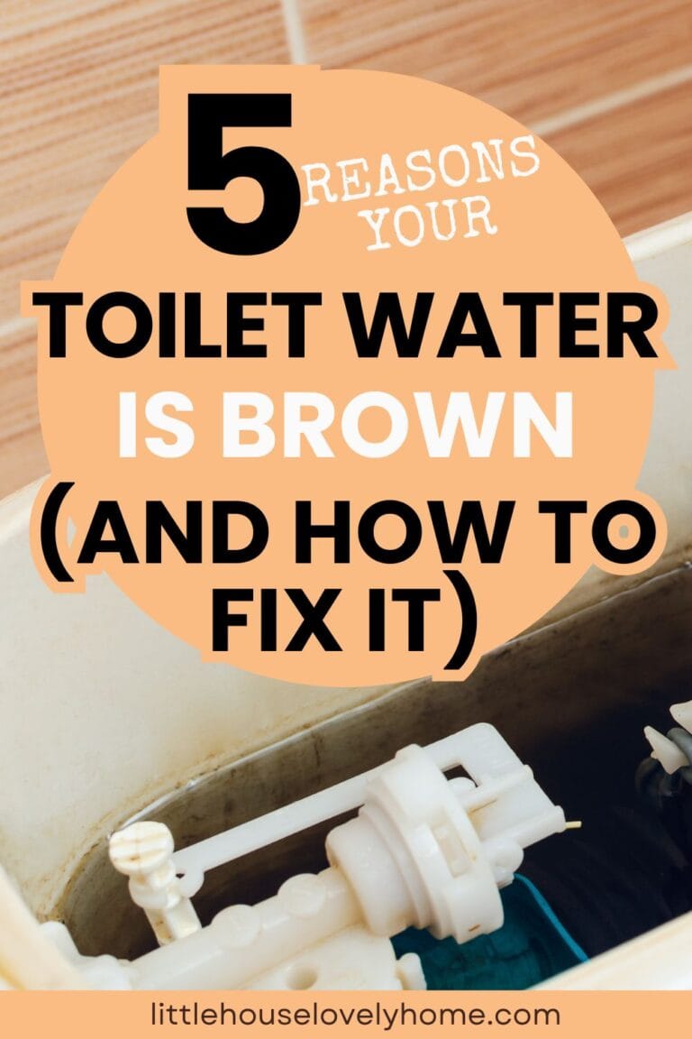 5 Reasons Your Toilet Water Is Brown (And How to Fix It)