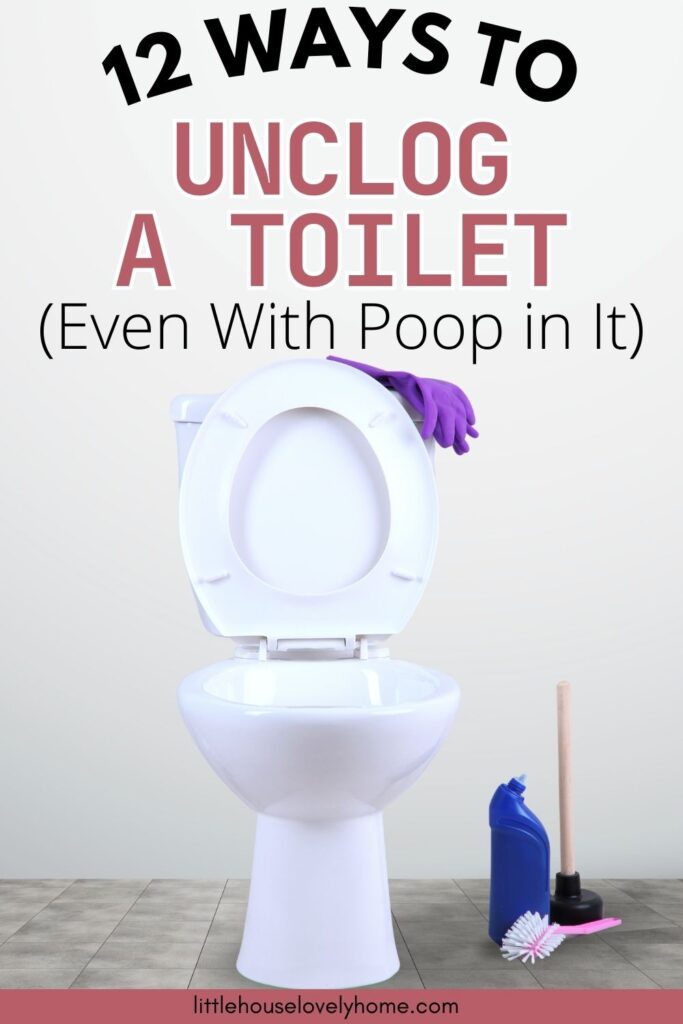 12 Ways to Unclog a Toilet With Poop in It | Little House Lovely Home