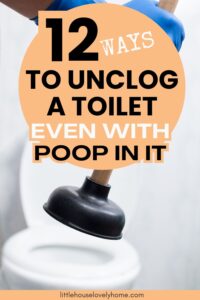 12 Ways to Unclog a Toilet With Poop in It | Little House Lovely Home