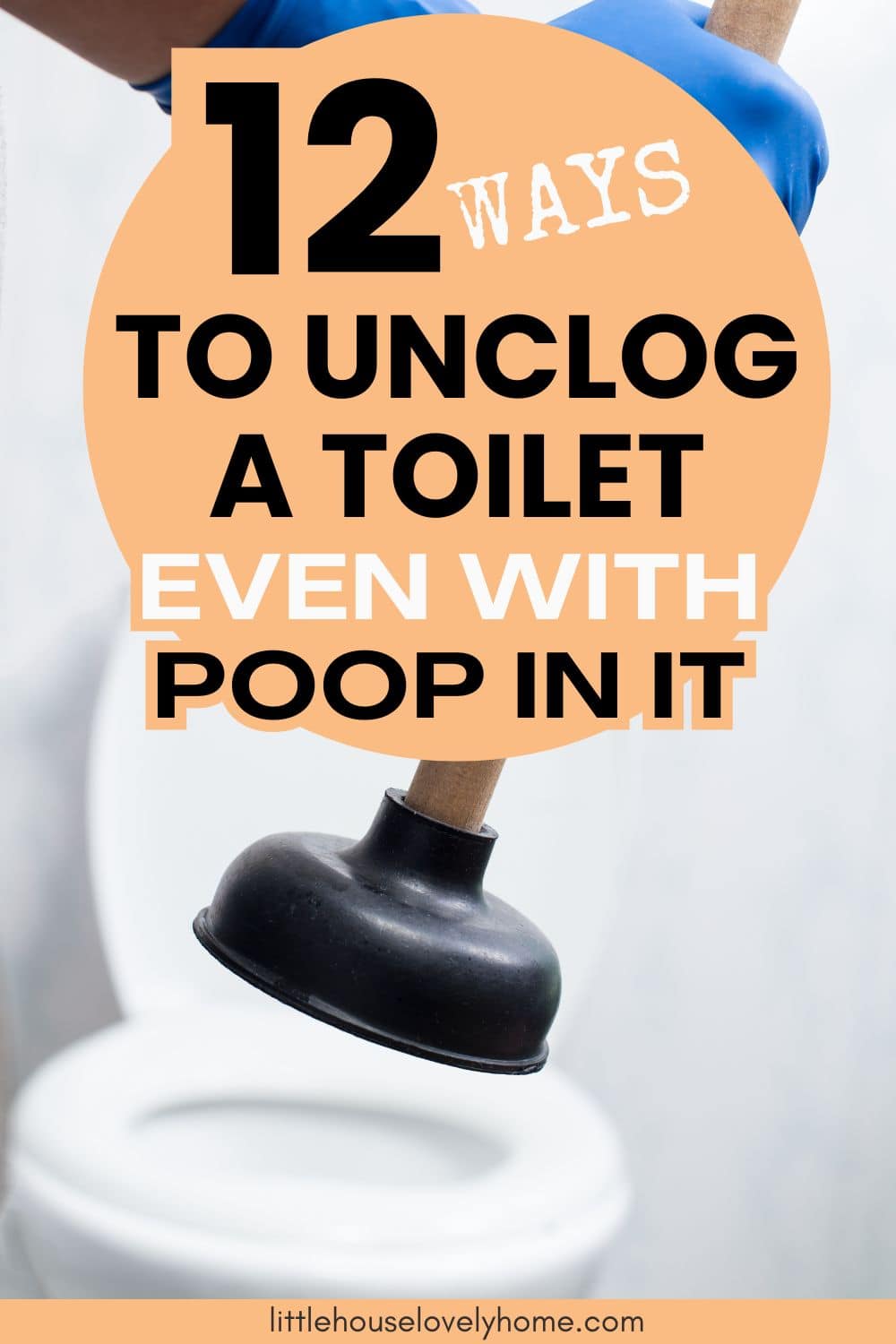  A toilet bowl with a plunger_Ways to Unclog a Toilet