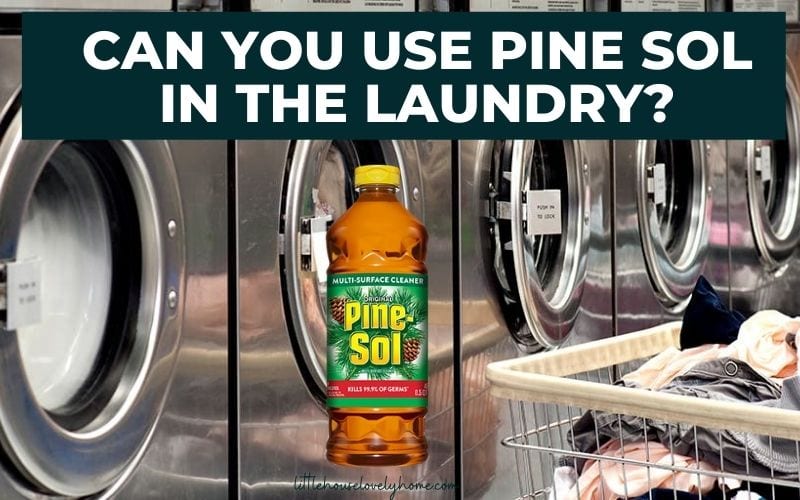 Laundry machines and pine-sol