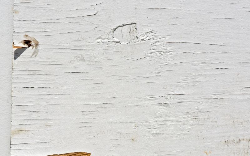 Photo of a wood with chipped white paint