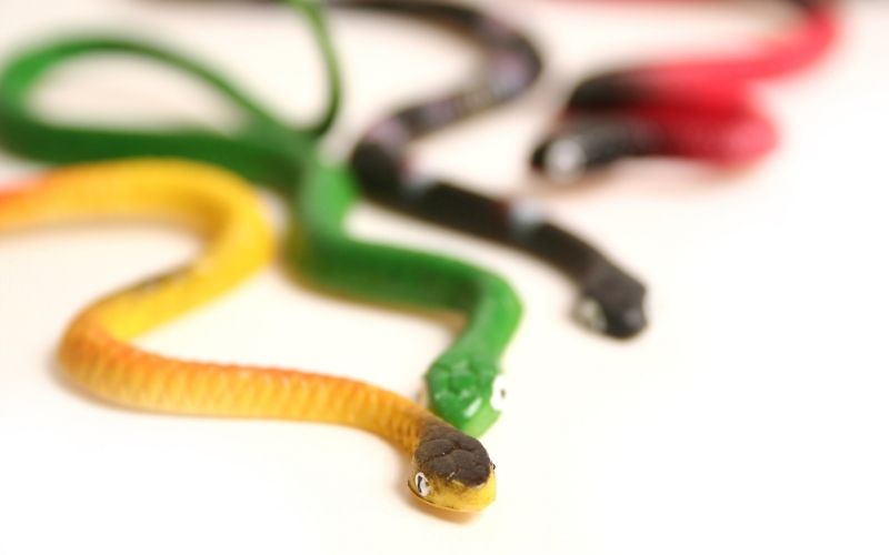Picture of several rubber snakes in different colors