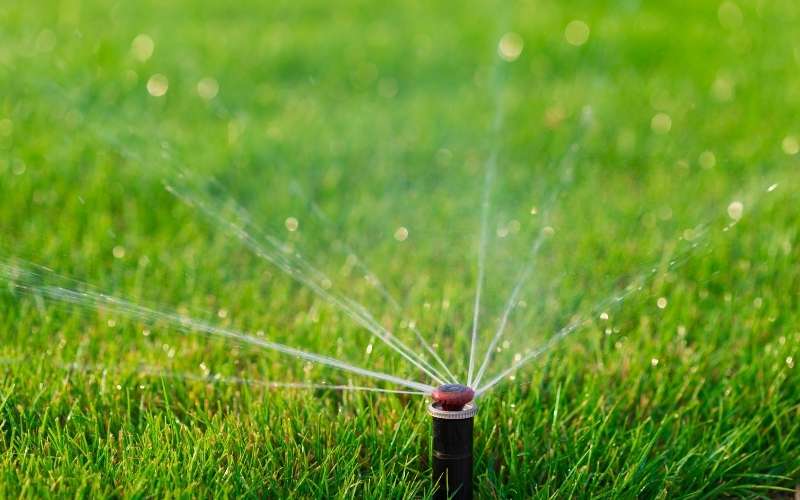 Photo of a lawn sprinkler sprinkling water on grass
