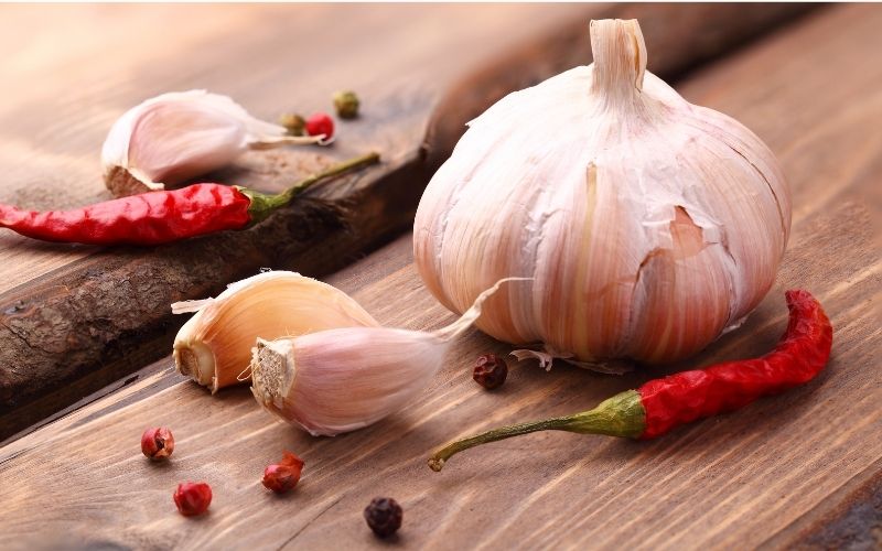 Photo of garlic head and red chili pepped on a wooden board - ingredients that can keep raccoons from pooping in your yard