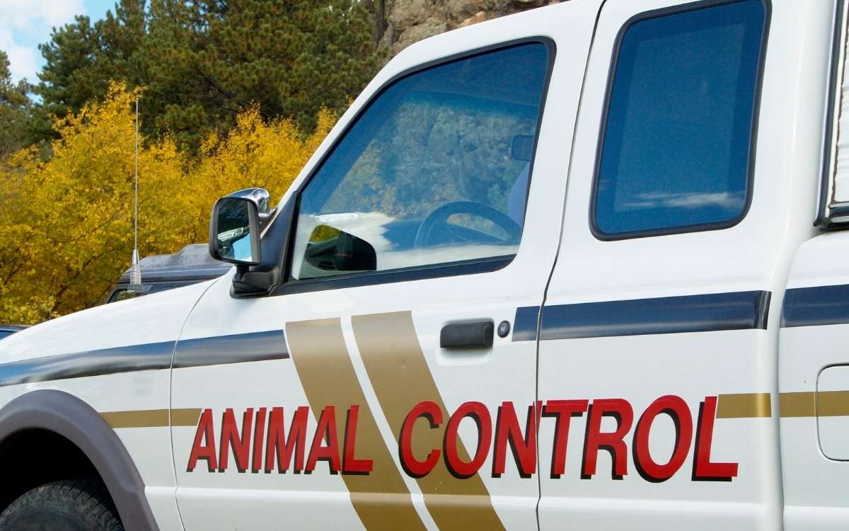 Photo of a white vehicle for animal control