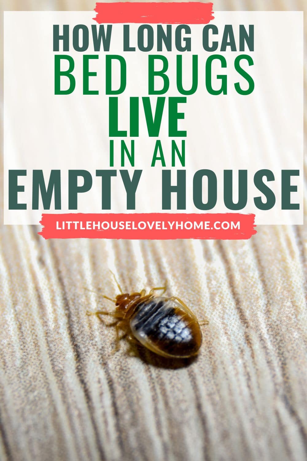 Image showing a bed bug with text overlays that read How long can bed bugs live in an empty house
