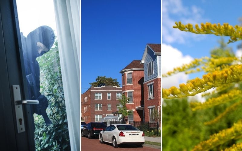 Photo showing image of a burglar looking person, a street with cars and a branches with leaves