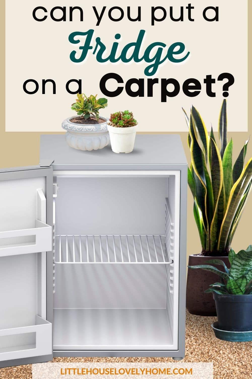 Photo showing a small fridge, potted plants on floor and on top of the fridge, a carpeted floor and text overlay that reads Can You Put a Fridge on Carpet 