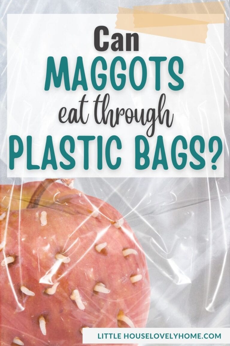 Can Maggots Eat Through Plastic Bags? Little House Lovely Home