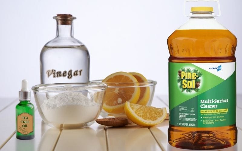 Image showing a bottle of Pine Sol, and Vinegar, a bowl of white powder, slices of lemon in a clear bowl and a small green bottle of Tea Tree oil all placed on top of a table.