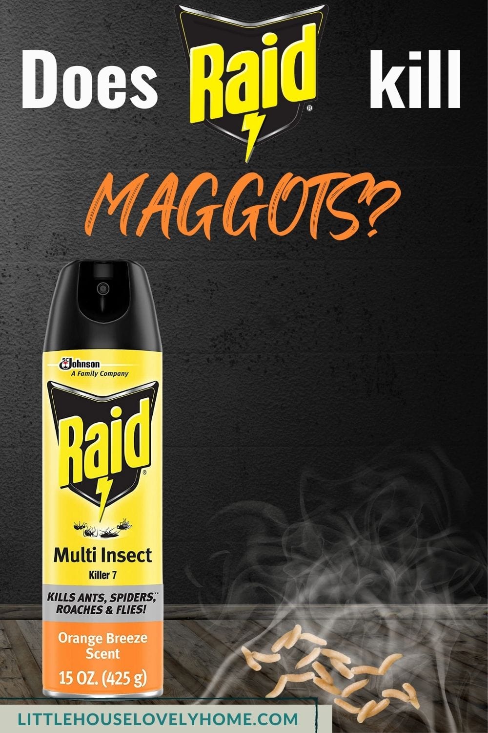 Image showing a Raid Insecticide spray beside some maggots and text overlays that read Does Raid kill maggots 
