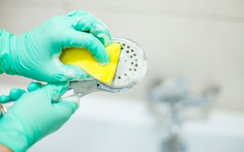Photo of a pair of hands cleaning a shower head with sponge