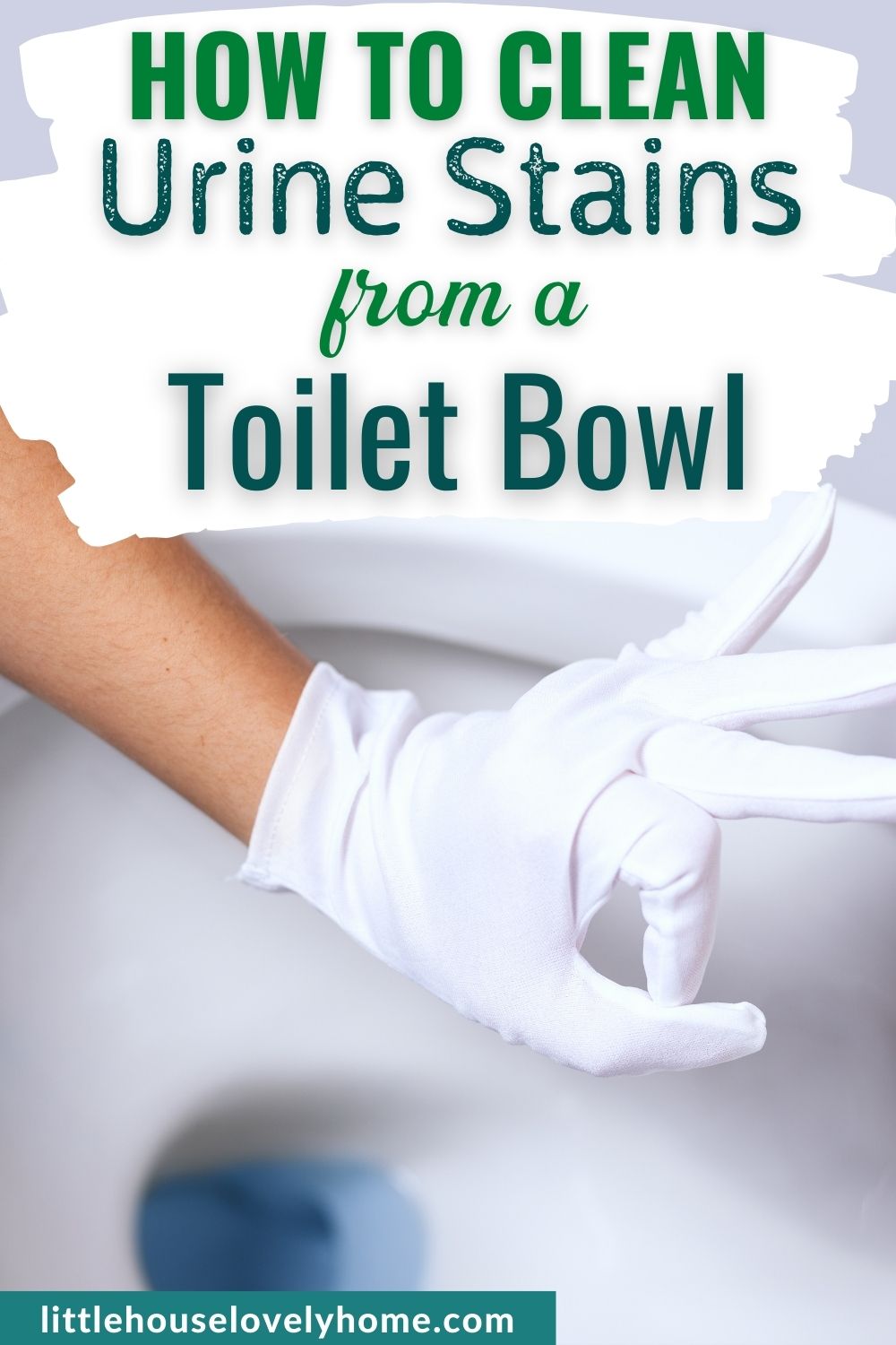 A hand gesturing an OK sign over a clean toilet bowl with text overlays that read How to Clean Urine Stains From a Toilet Bowl.